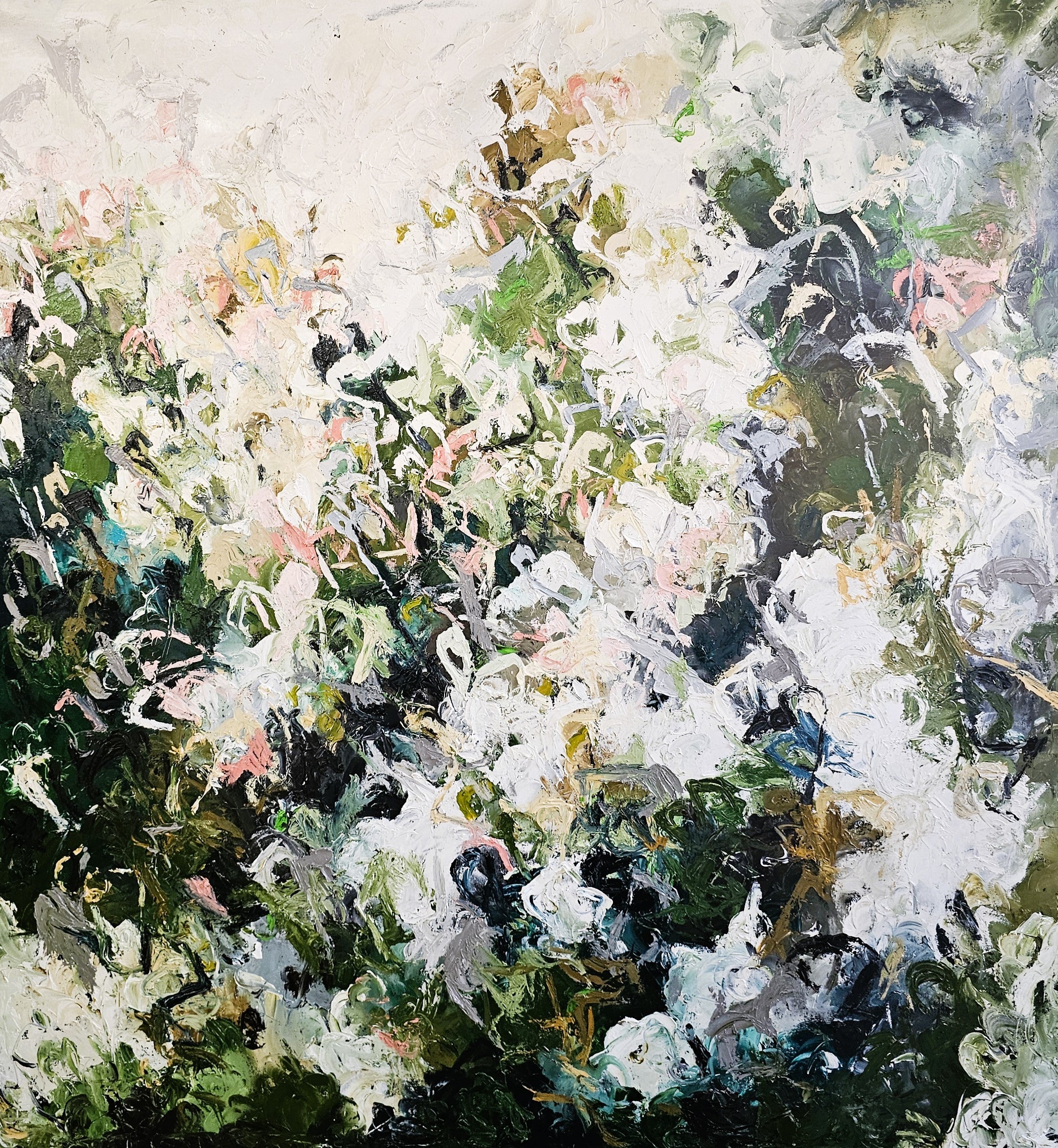 The Garden Where Rabbits Dream